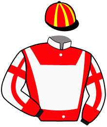 Casaque du n°7 — VIPER