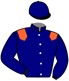 Casaque du n°1 — HALF HALF