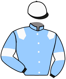 Casaque du n°2 — MACKAYA