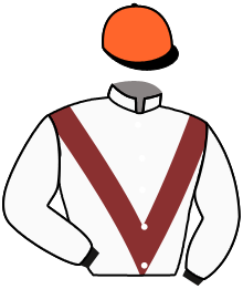 Casaque du n°1 — SILK ROADSTER