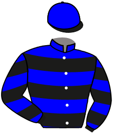 Casaque du n°5 — AZULGRANA