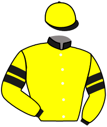 Casaque du n°10 — EQUAL MORRIS