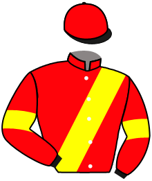 Casaque du n°4 — OSLO WIN