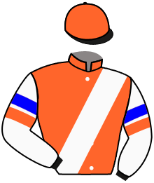 Casaque du n°10 — RODOSTAMO