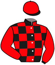 Casaque du n°1 — MISSION ROYALE