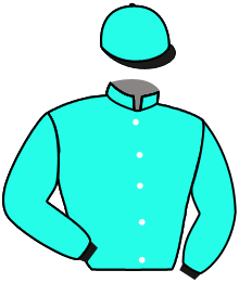 Casaque du n°6 — QUINCY CLUB