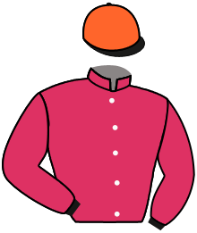 Casaque du n°8 — HOLY VALLEY