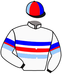 Casaque du n°1 — GRITALA