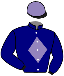 Casaque du n°11 — ENDEIA