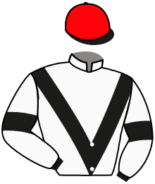 Casaque du n°2 — RUMBA FEROZ