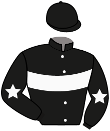 Casaque du n°4 — FILIPPIADA