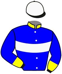 Casaque du n°2 — QUARTERBACK