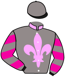Casaque du n°4 — AMANDI