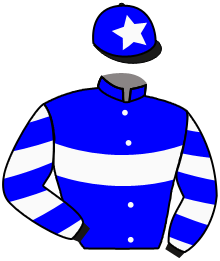 Casaque du n°4 — FENIAN
