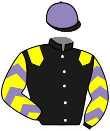 Casaque du n°4 — SORELINO
