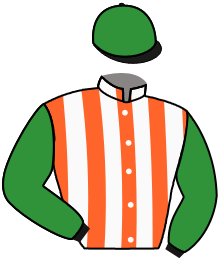 Casaque du n°5 — VENT D'OR
