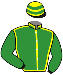 Casaque du n°3 — SHAMBHALLA