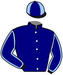 Casaque du n°6 — LERWICK PERRINE