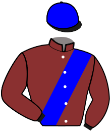 Casaque du n°5 — NAME IS DAIRPET
