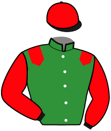 Casaque du n°2 — LADY STRYCK