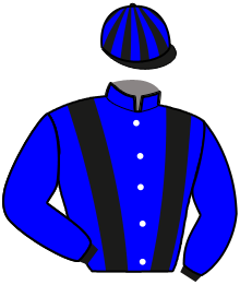 Casaque du n°6 — NEO DE SOMMAIRE