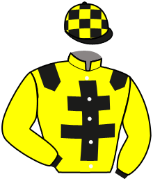 Casaque du n°13 — LINO GUILLERVILLE