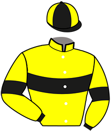 Casaque du n°4 — LURISTAN