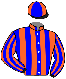 Casaque du n°12 — DICTATORIAL