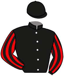 Casaque du n°2 — JAPONEITOR