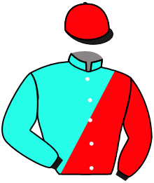 Casaque du n°4 — KIRARA
