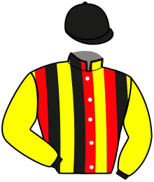 Casaque du n°6 — RIO PEREZ