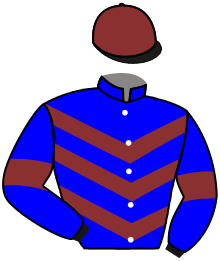 Casaque du n°2 — CHIANA