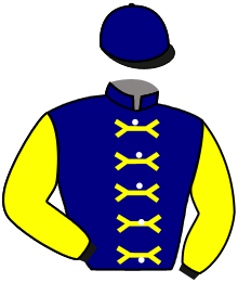 Casaque du n°2 — REX CARVER