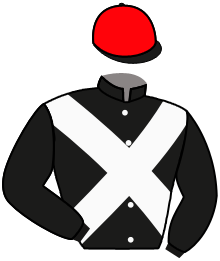 Casaque du n°3 — DORO