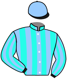 Casaque du n°4 — DICKSON