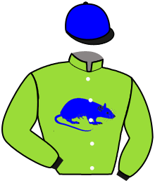 Casaque du n°8 — CAMARQUE