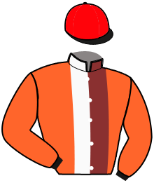 Casaque du n°9 — NEWCOMBE