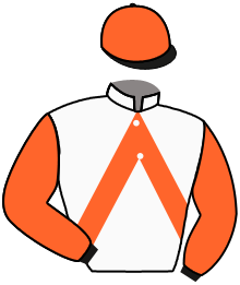 Casaque du n°3 — ATLANTIC WAYS