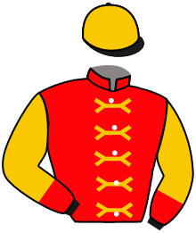 Casaque du n°11 — MAIDSTONE