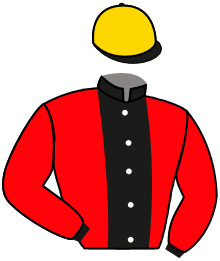 Casaque du n°7 — LAMARA