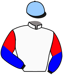 Casaque du n°2 — SON GUAL