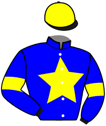 Casaque du n°5 — ODIN DE BUSSET