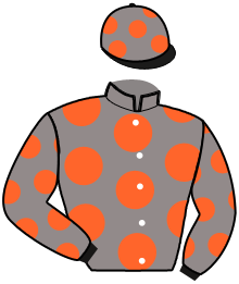 Casaque du n°11 — MAJOR DU MONT