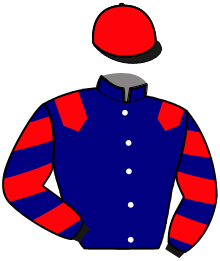 Casaque du n°3 — JAVA DE GARAMBEAU
