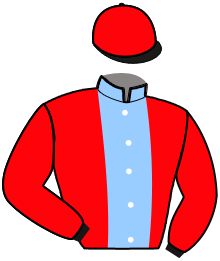 Casaque du n°8 — KIAMA