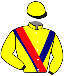 Casaque du n°13 — CELESTIN