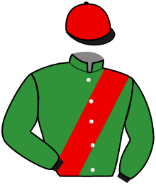 Casaque du n°3 — FELIX AUX ORMES