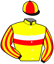 Casaque du n°3 — DORADO