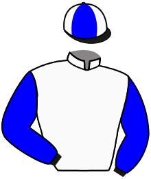 Casaque du n°2 — BOLKHOV