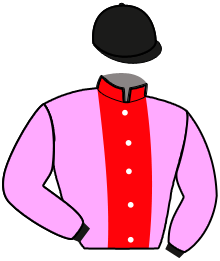 Casaque du n°2 — JOYA DE FONT